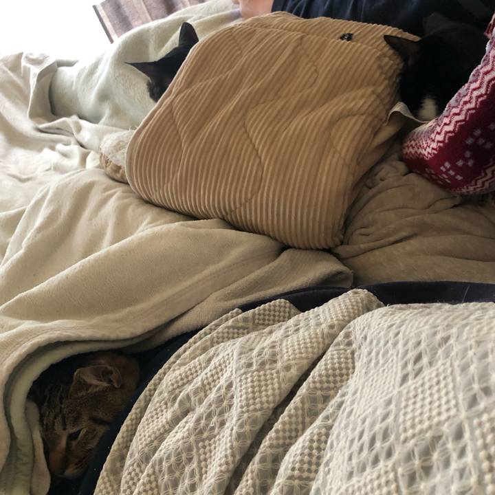 5d3c4459 9eda 4bf5 a8f5 02ad3920c622 1589947070583