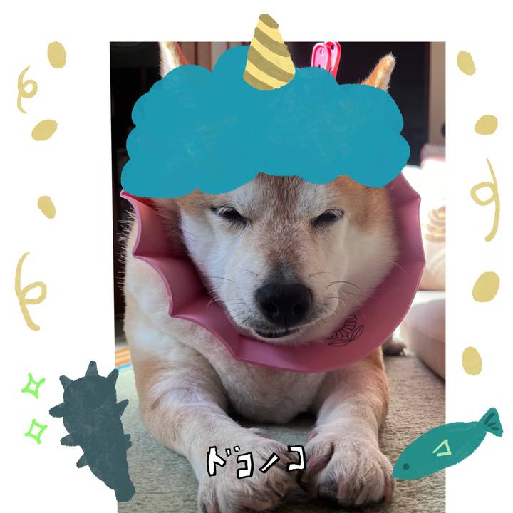 5d3c94d9 bd53 41d5 9774 fcd0d5df9102 1706756267916