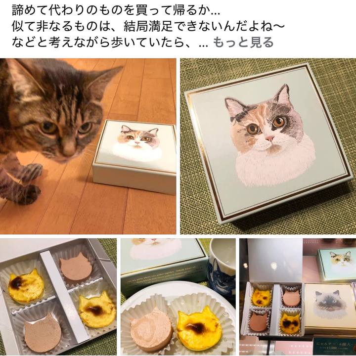 5d3ca18f c46b 4d94 8324 d944f9cf864b 1772546152243