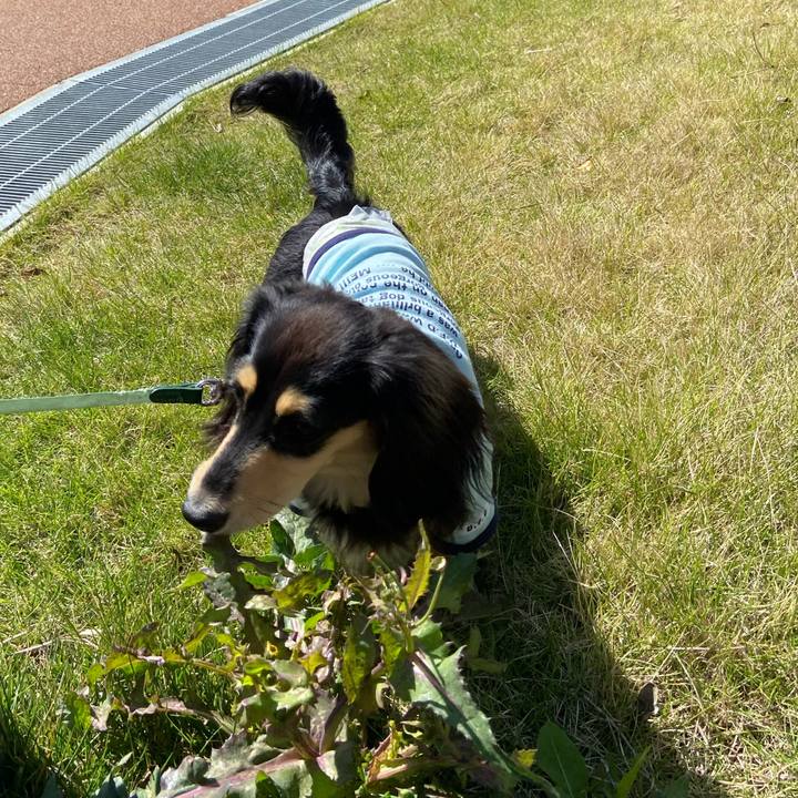 5d3d07cd 480c 43cf a021 ea2d34487b90 1682555476637