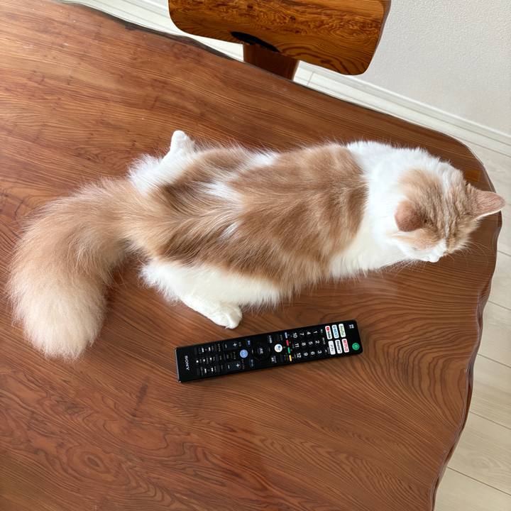 5d3d1374 b3e1 418d 96fc 7ad919d4e080 1756078674104