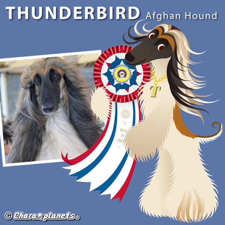 5d3d197c b64a 4fdb 8a23 67a0c7992dd7 1565317914059