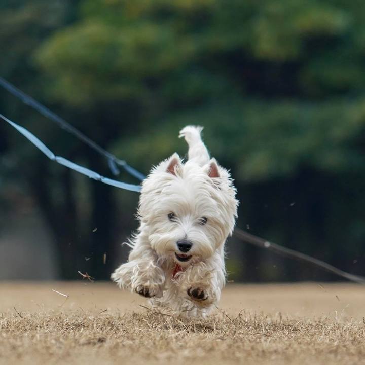 5d3d3890 33ab 46ae b8c5 b3409174fdbf 1518305037172