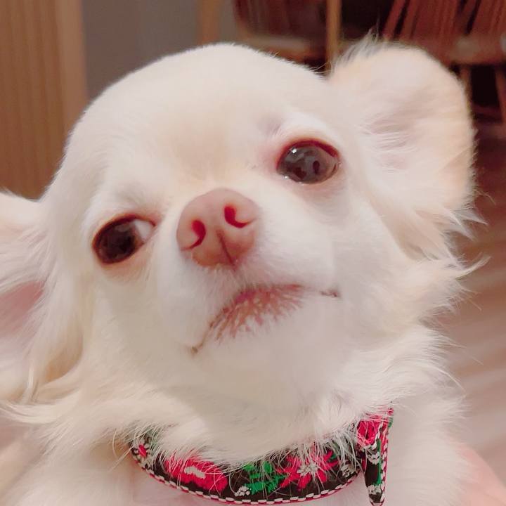 5d3d796d c948 45e1 8ce2 662811a583b4 1691926689744