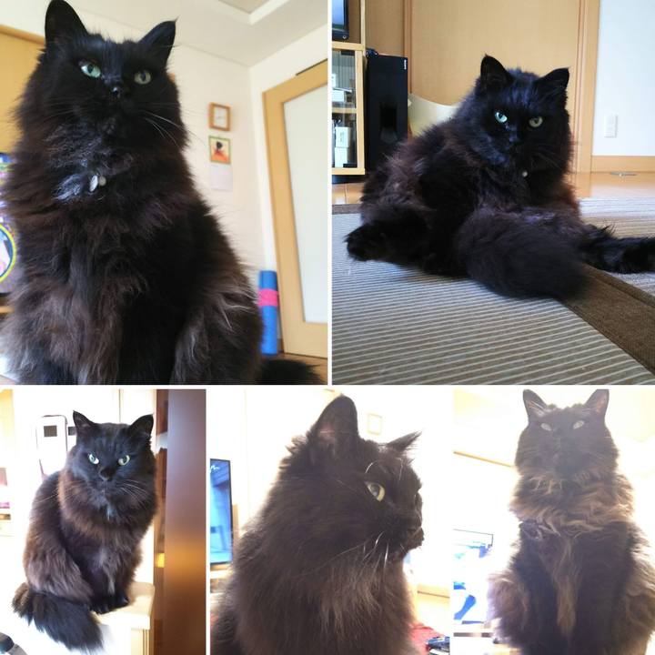 5d3d7fcf a3e7 46a2 8154 4134453c2478 1707520986806