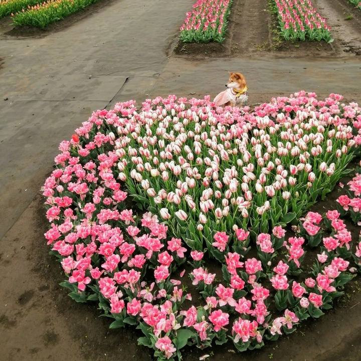 5d3d9b3a 77b8 438f 8cf7 92304488edb7 1617701277467