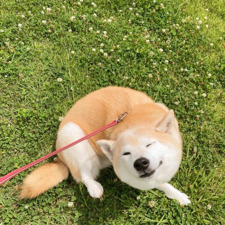 5d3dab82 a0de 4ab4 b4d7 a0987018ed50 1667485325988