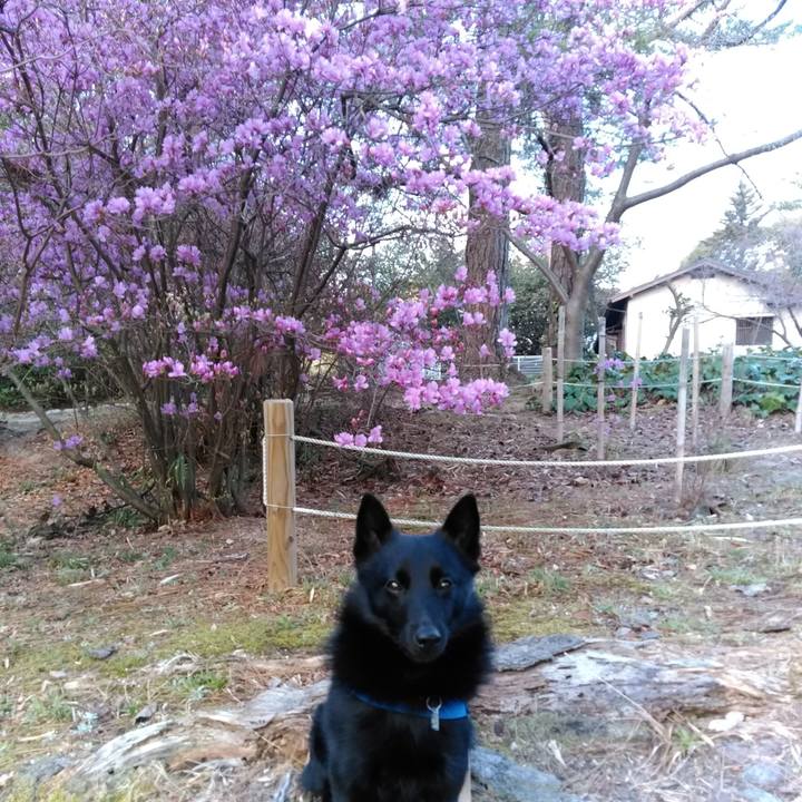 5d3e085d 776e 4056 ac3d 20bd9e6ee990 1553651554995