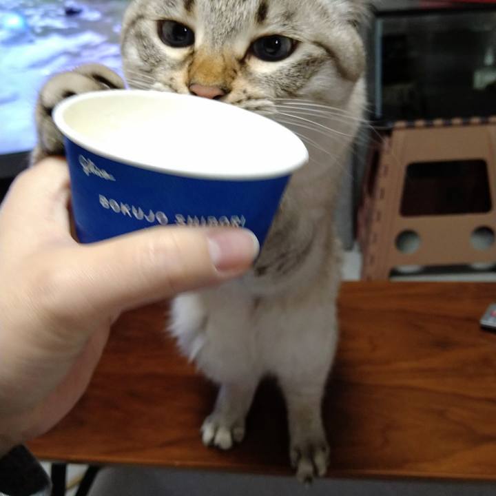 5d3e2f31 0001 4832 b19b 0867ec63cad7 1641812014927