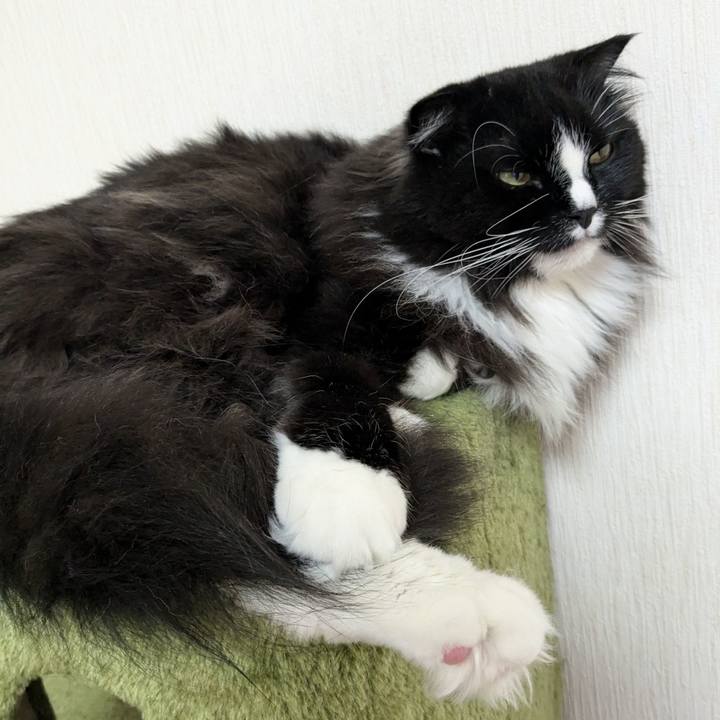 5d3e4e72 a5e0 4b1a b7da 94ce8b820e10 1719057048934