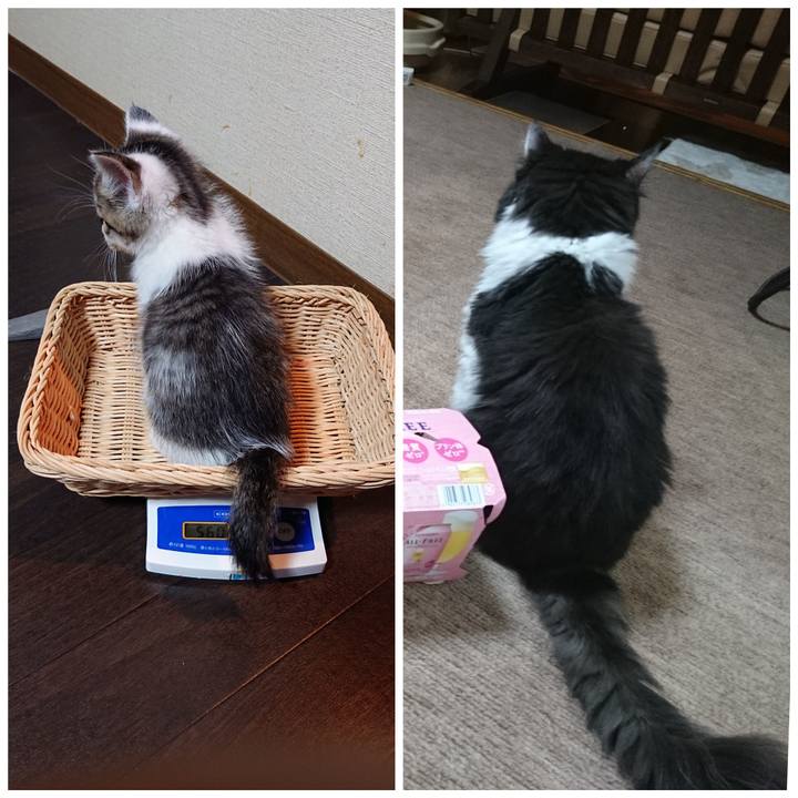 5d3e7eb6 bef1 45d0 aca9 cc3a4fa2404d 1539043048610