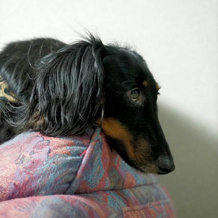 5d3ed157 cc78 4a70 92ad 581de5f63d03 1536111413326