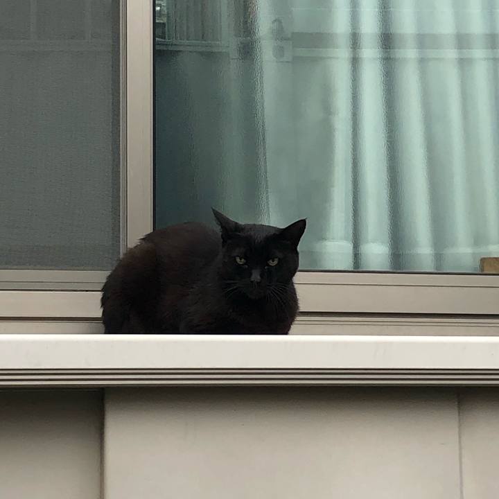 5d3edfb8 ce45 48e0 b56c f3baba231fa0 1563105818686