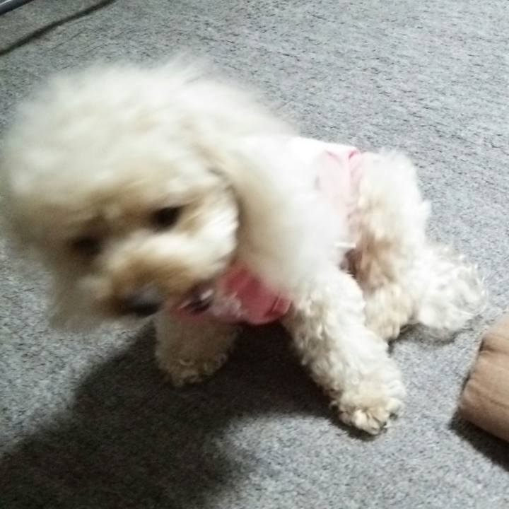 5d3ee764 7398 4802 9b03 30e4e880f80c 1535719250599