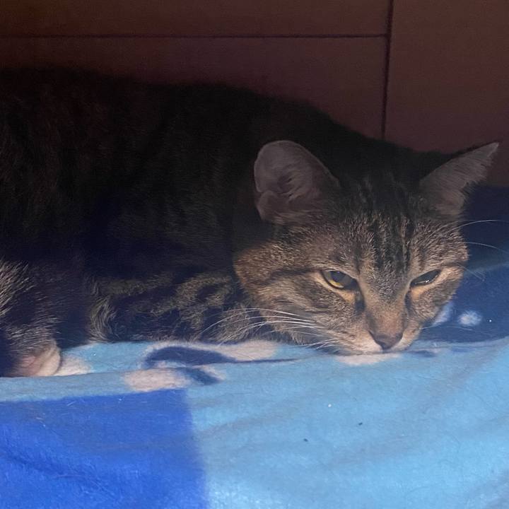 5d3f1f88 067c 40b2 a55c 86b262e1d818 1729339671847