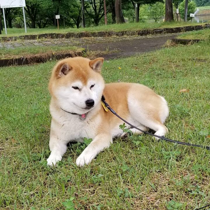 5d3f267c f48a 44b3 b15f 32e496abc964 1592033853299