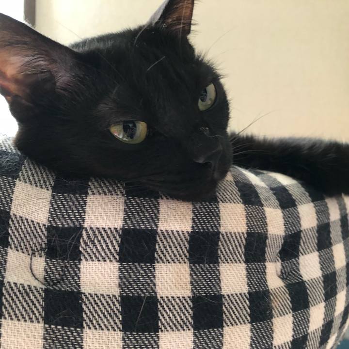 5d3f3a6d 21bf 4717 ba04 795917b84243 1526461131291