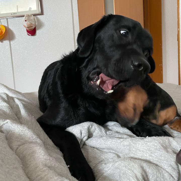 5d3fefcc bf30 4edc 98ef 82a43261e05a 1654662979352