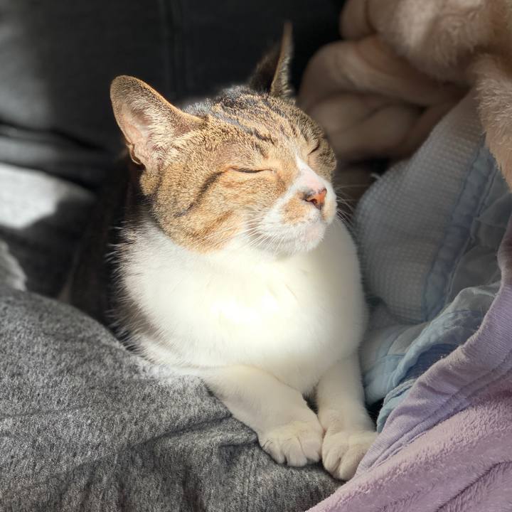 5d3ff20f b408 4822 8514 575a38f5bc8b 1575852985078