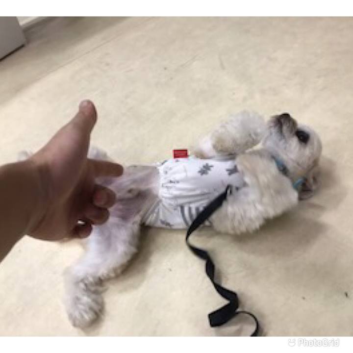 5d40101f d922 4edf 8b86 aa914e1c5807 1634455737486