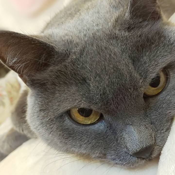 5d401e3c f2eb 430d a32d 51c7c9968ff3 1762603552670