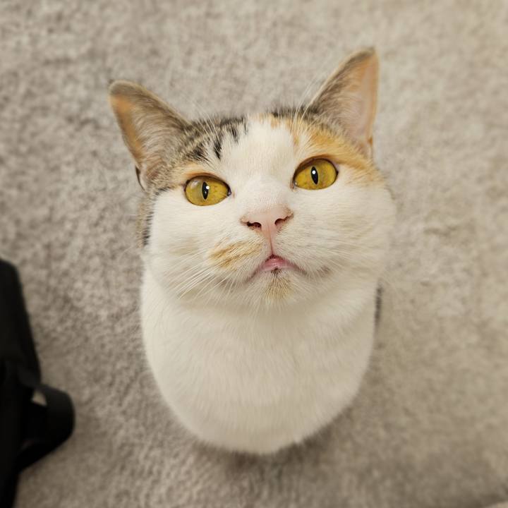 5d403c3b 6af8 4fab 8fe7 82fcf035394d 1771651668641