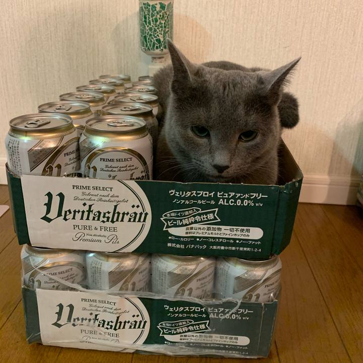 5d40733c 3cf1 4d00 a44a e8775b7520b8 1584092804612