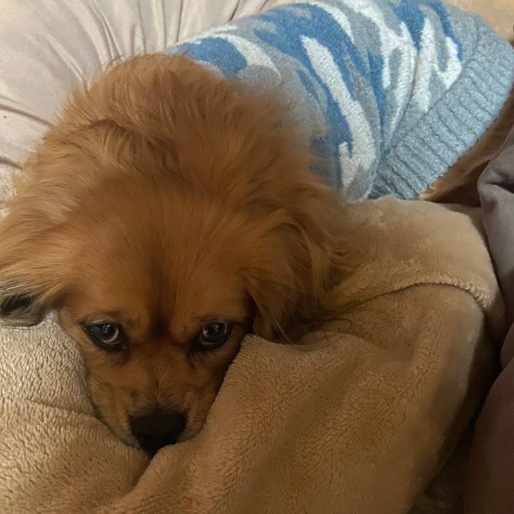 5d40a8da 9213 4ef7 85d4 37889b39898c 1672868788342