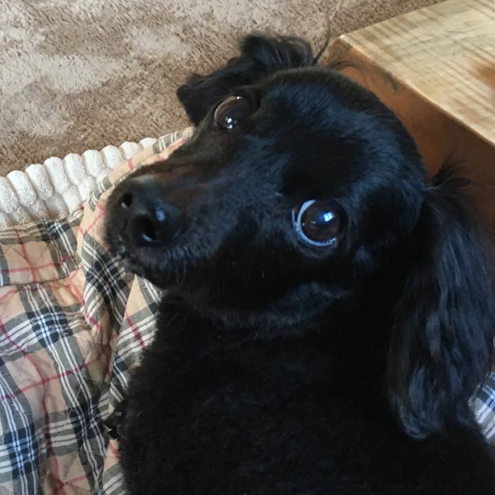 5d40b55b b08d 4036 94e7 5f86624cd994 1651321959008