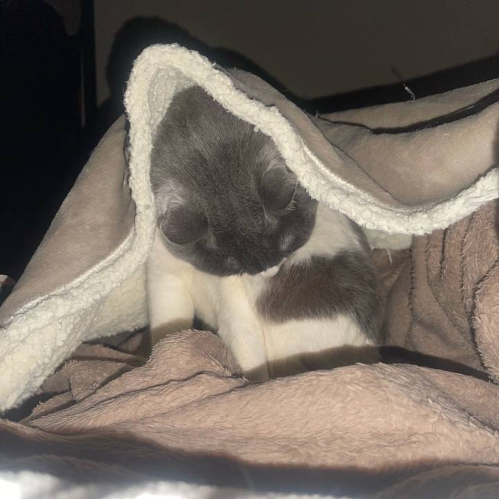 5d40be73 4079 45db b153 e9883e13f111 1740089460309