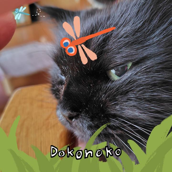 5d40be8f 8e9b 4460 86e1 5ed9970ba477 1727048618711