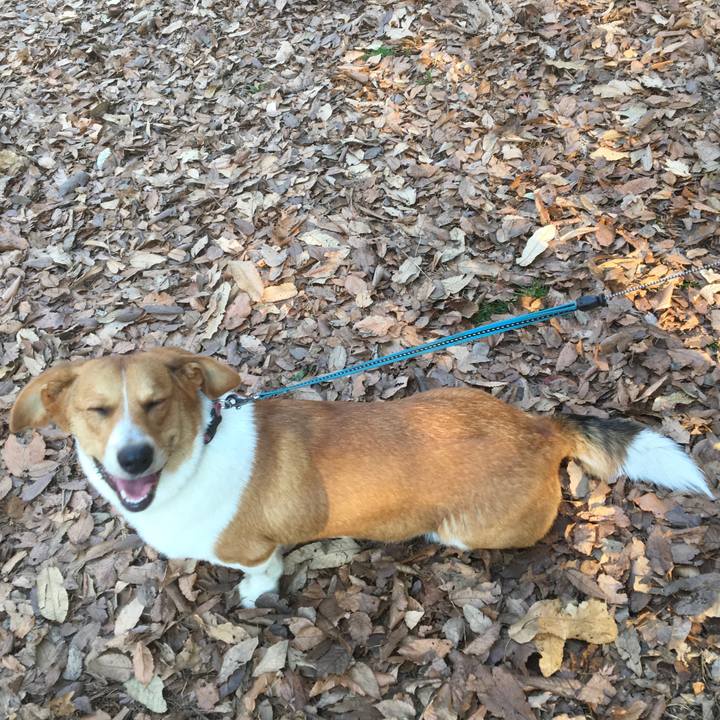 5d40d83b 691f 4c3b 95a9 abc67801b5c2 1612739951808