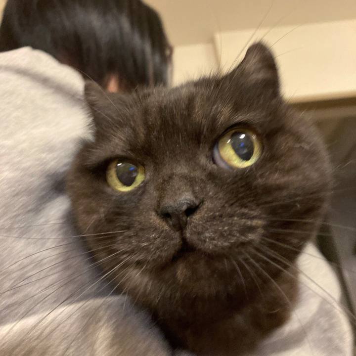 5d410818 a062 4807 9090 92f61c575f59 1610376323007