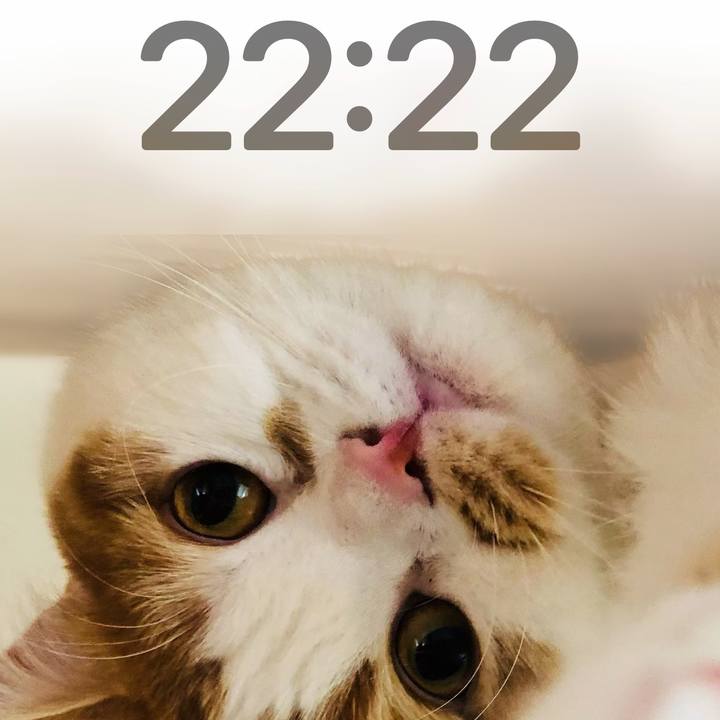 5d4148f9 db8f 489c 93bb effcd8ac3bf5 1754486605521