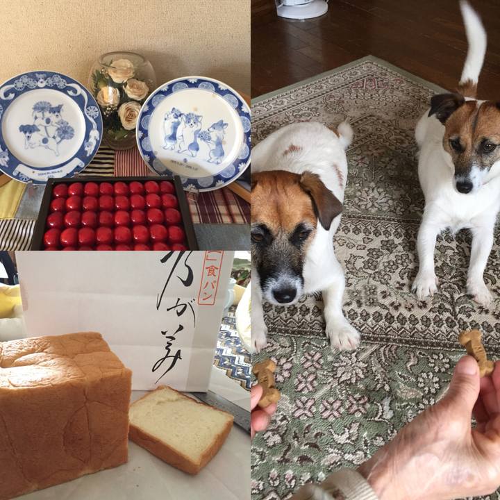 5d417ccc f1f2 42e7 860a 06f11779b200 1529201514819