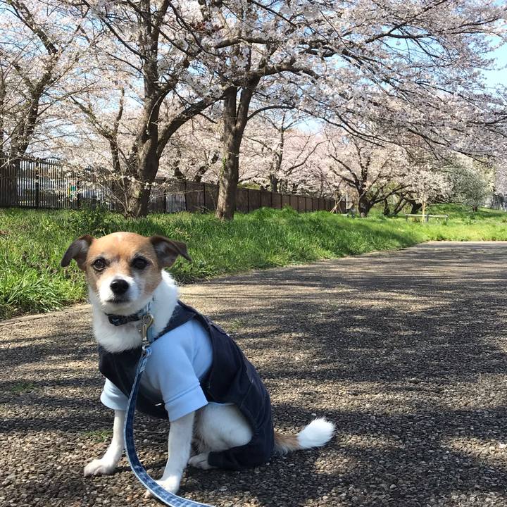 5d417e24 e698 4f77 965b 0ac35989c361 1554257439161