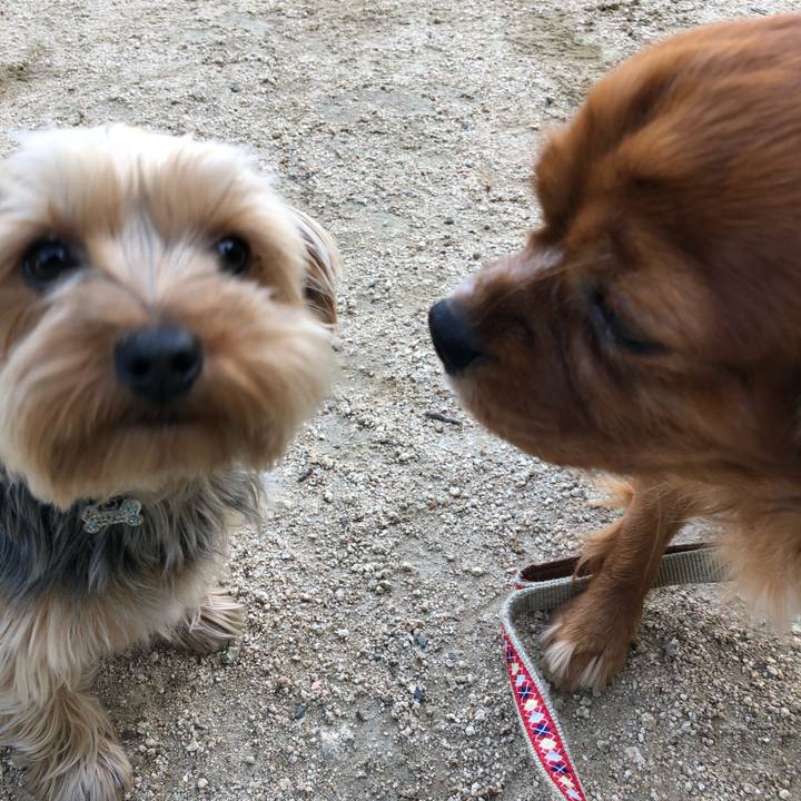 5d41a557 311b 4694 8ee0 50b942e783b6 1556970922745