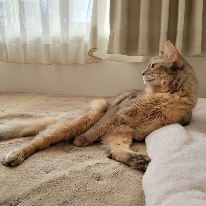 5d41bfa8 1a20 4c94 bd4f 90adb133357b 1668138812890