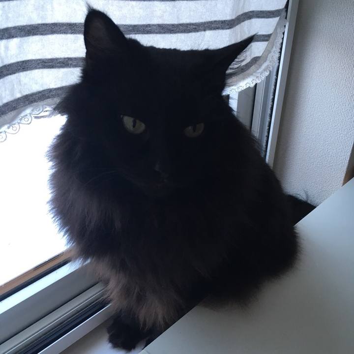 5d41c253 5d4d 4d57 bfa3 256b3b0eb9bc 1546243865327