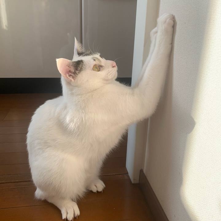 5d41d27c dfae 4b89 bfc2 b16b007978e7 1615857361842