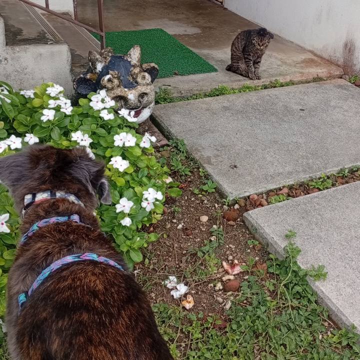 5d41f3b6 72e2 4c82 9a73 3a606f70a28e 1754735146312