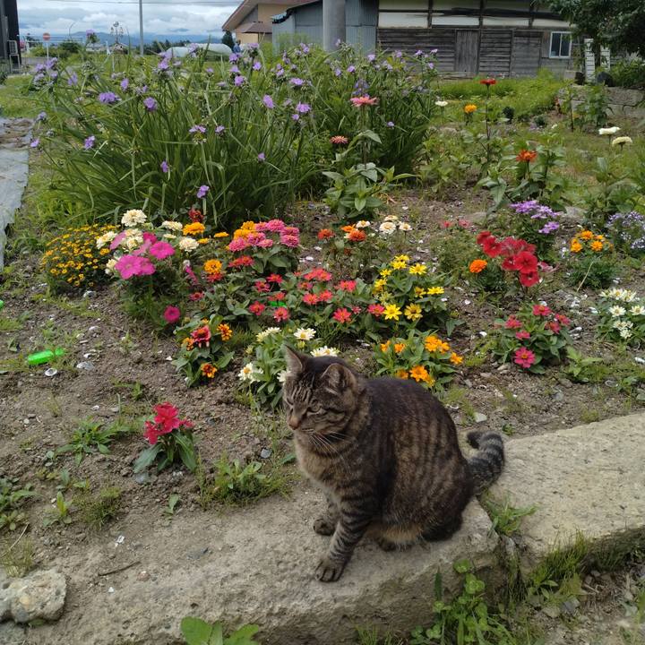 5d421232 e9a1 4aa9 904e 1af7b29042c7 1687482165286