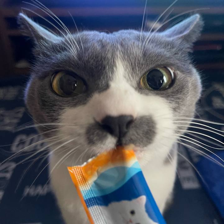 5d4218ba fc75 4551 bb4a e8911a6fe68c 1693984174629