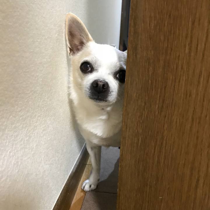 5d427065 c3ad 4cbb 87b2 60207e6bbebd 1518784791619