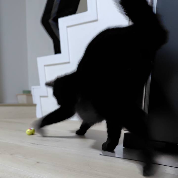 5d4270b6 b0b8 4cf2 9a97 d6b09da42194 1736599224447