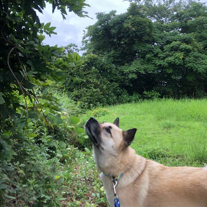 5d428c7f 133b 4198 b926 da9fb83b8c44 1593257129009