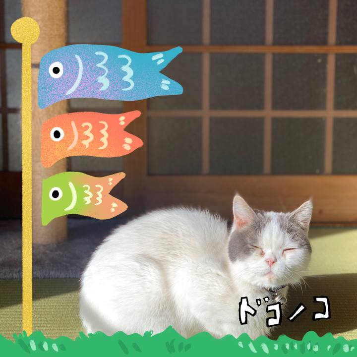 5d4290b4 99a4 49f8 9ec0 cc174c67f481 1715159876108