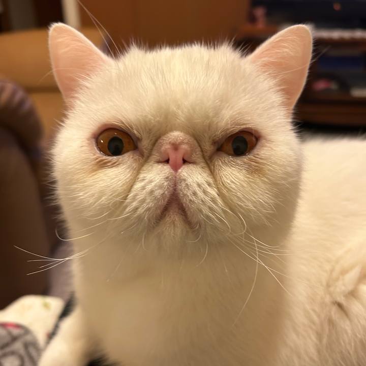 5d4290c0 37f8 4eeb b608 ebba875d08f9 1731153568787