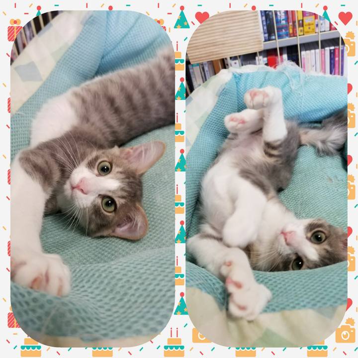 5d4297e9 f559 4d6d be73 5d32e05b7104 1507968499614