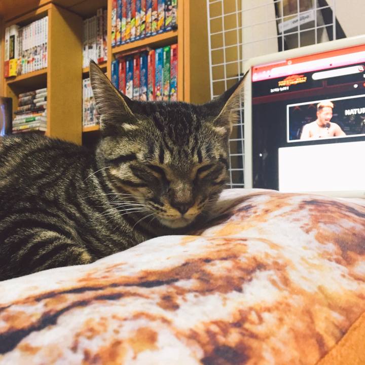 5d42a2cb 730c 4730 84ac f71c839c43e1 1542020004535